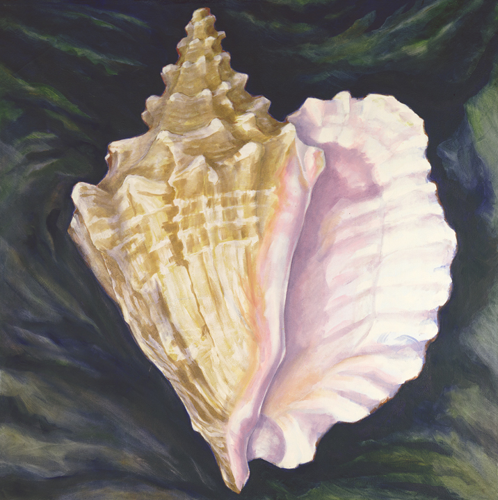 Seashell still life colored pencil commission