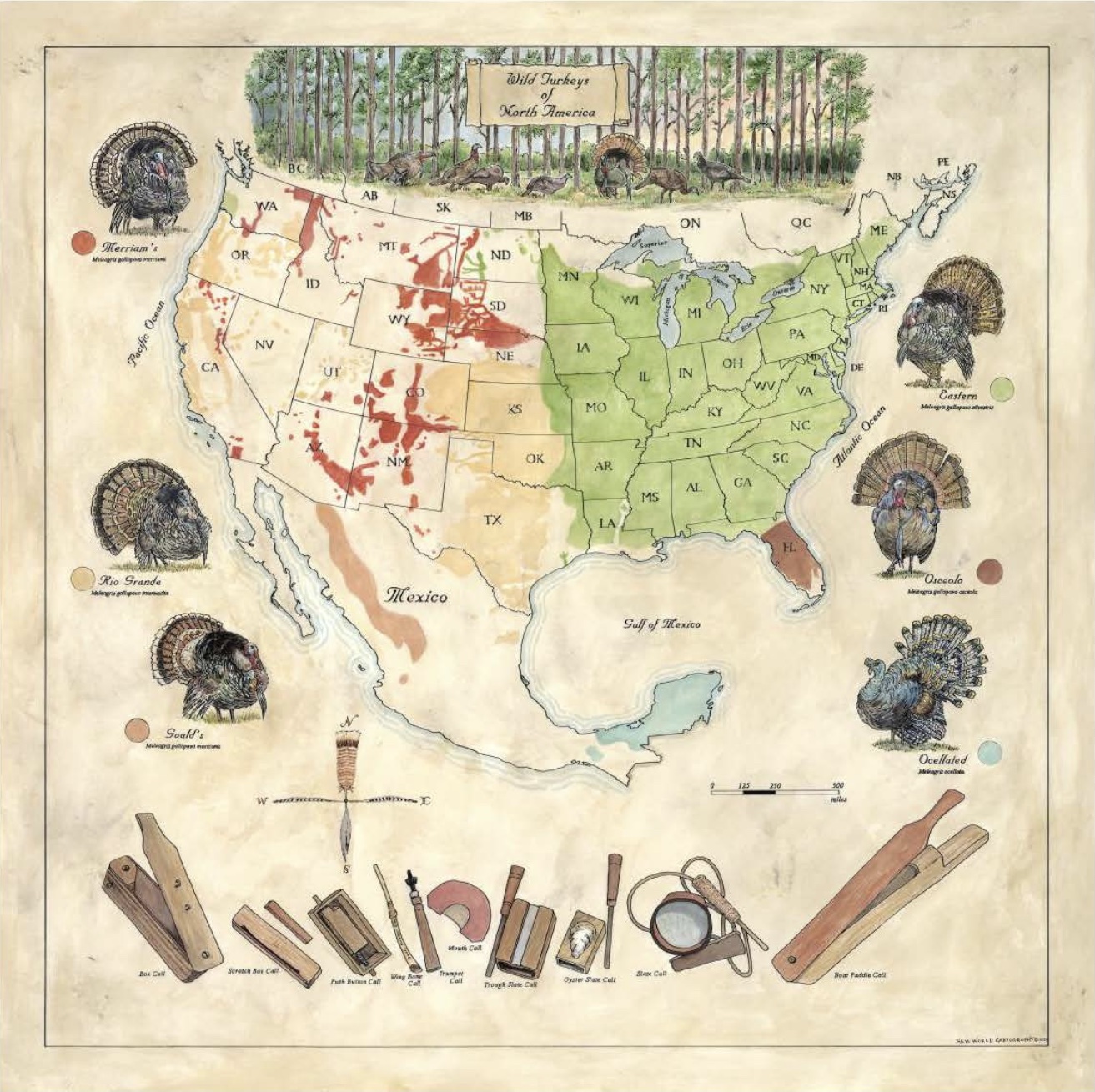 Wild Turkeys of North America map